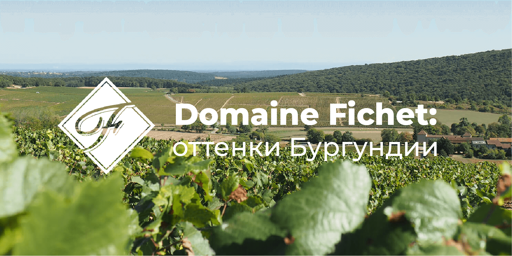 Domaine Fichet: оттенки Бургундии