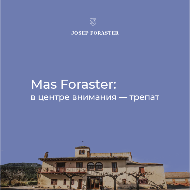 Mas Foraster: в центре внимания – трепат