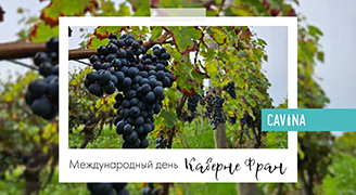 A slider image mobile