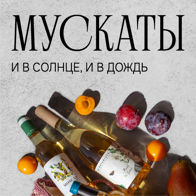 МУСКАТЫ И В СОЛНЦЕ, И В ДОЖДЬ